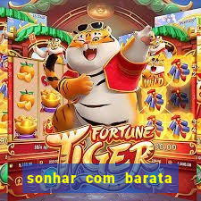 sonhar com barata no jogo do bicho